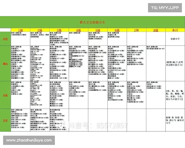 魔兽世界怀旧服:猎人装备技能攻略